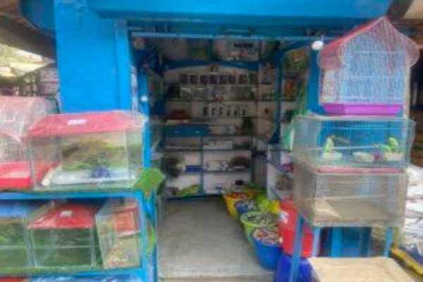 Shiv shakti fish shop Raebareli